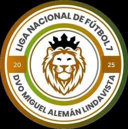 Liga Miguel Aleman